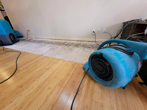 Professional Basement Flood Cleanup technician working in Bergheim, TX